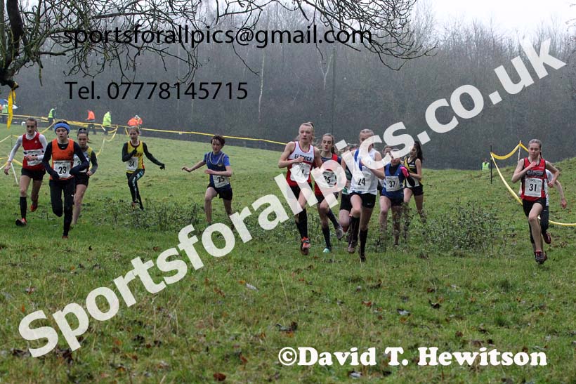 Girls under-13s, NECAA Junior Cross Country Relays, Thornley Farm, Peterlee, Saturday, December 12th. Photo: David T. Hewitson/Sports for All Pics